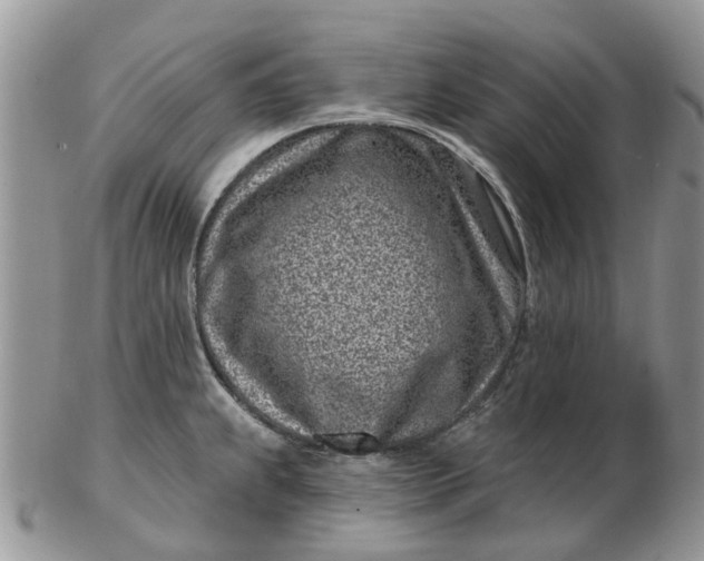 X0000102791239200809021107