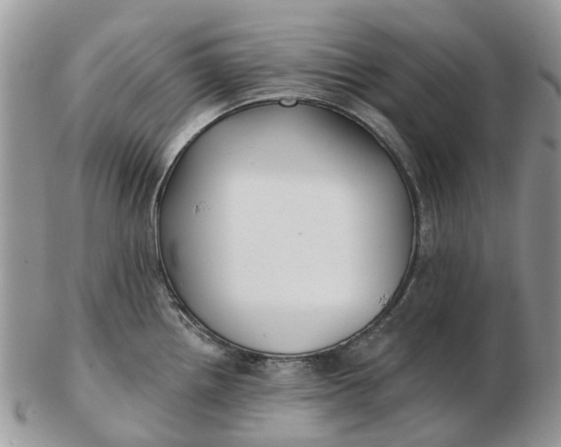 X0000102791242200809021107