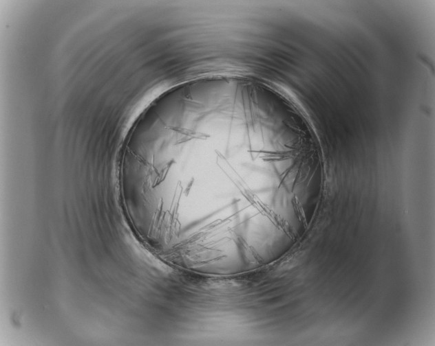 X0000102791243200809021107