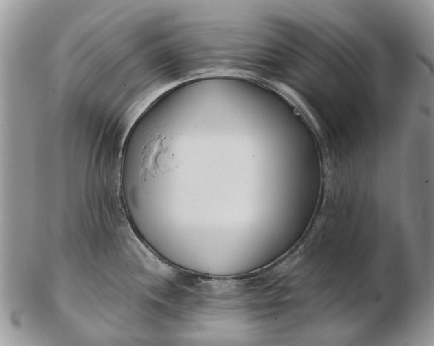 X0000102791244200809021107