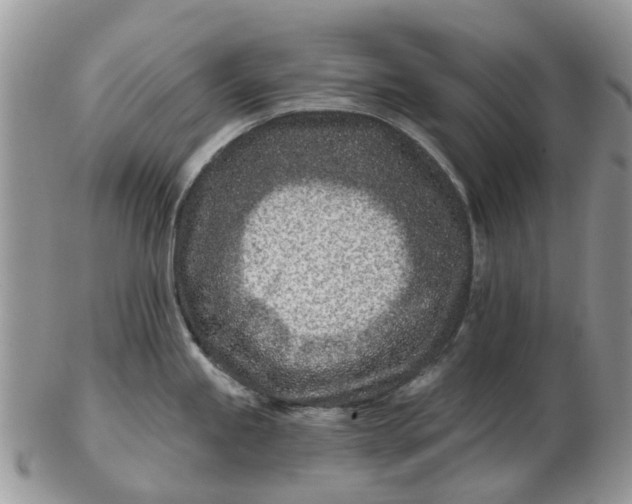 X0000102791245200809021107