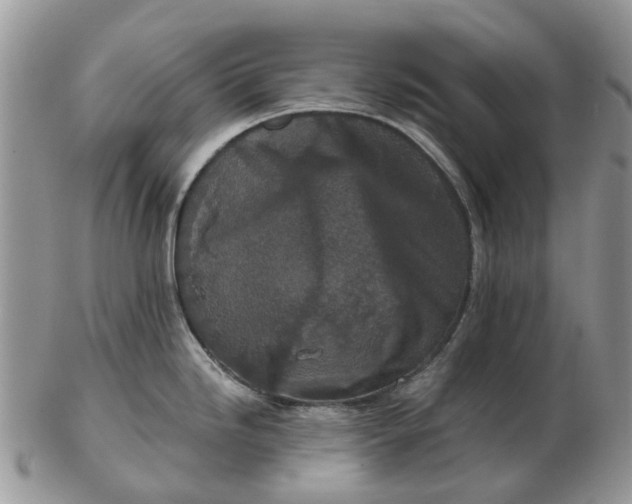 X0000102791246200809021107