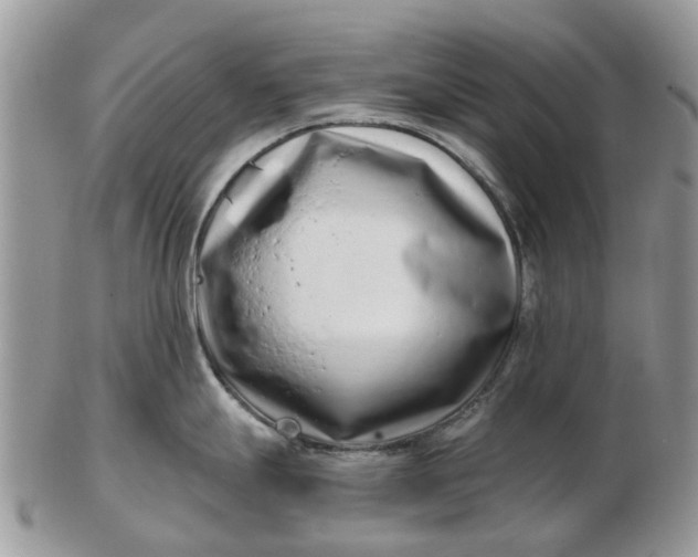 X0000102791247200809021107