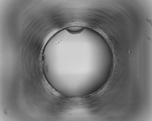 X0000102791248200809021107