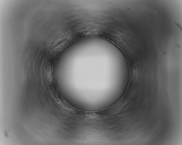 X0000102791250200809021106