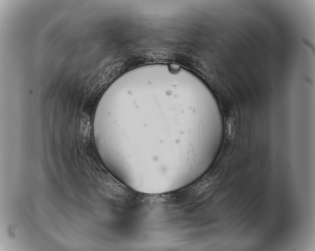 X0000102791251200809021106