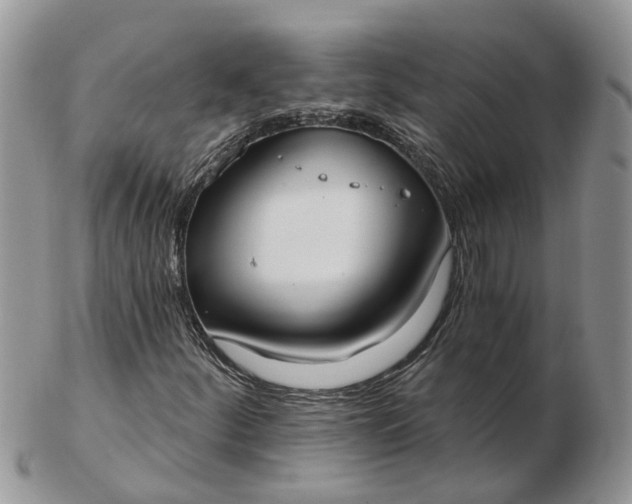 X0000102791252200809021106