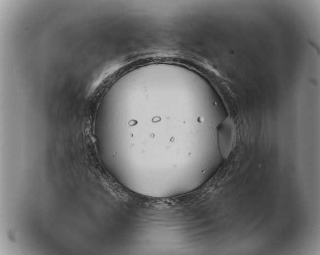 X0000102791255200809021106