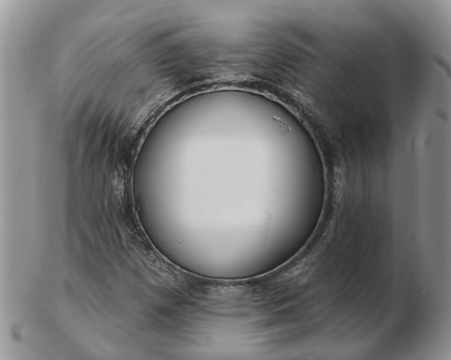 X0000102791257200809021106