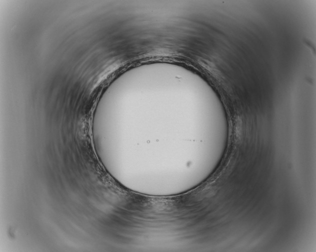 X0000102791258200809021106