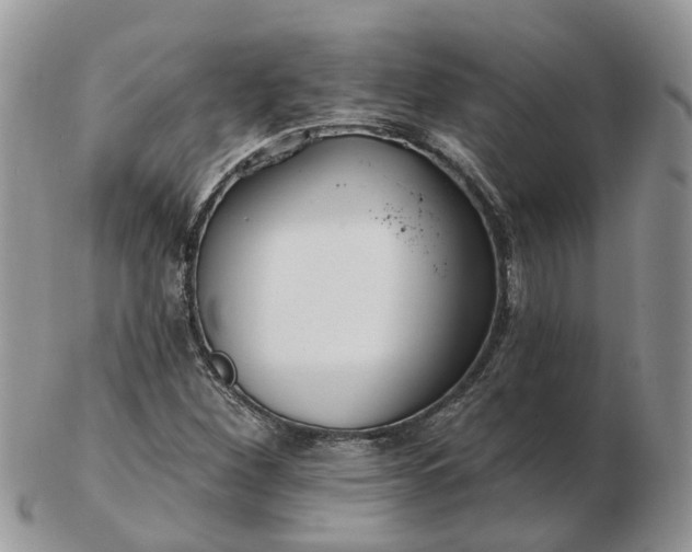 X0000102791260200809021106