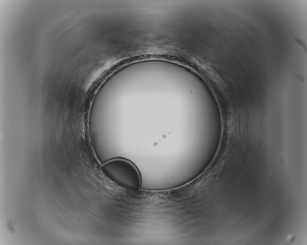 X0000102791262200809021106