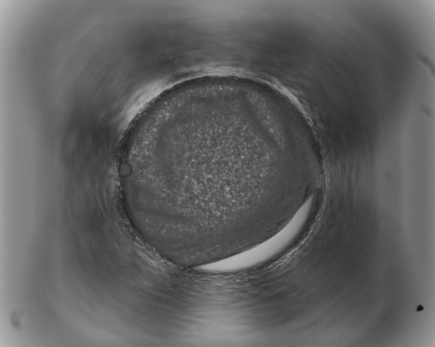 X0000102791263200809021106