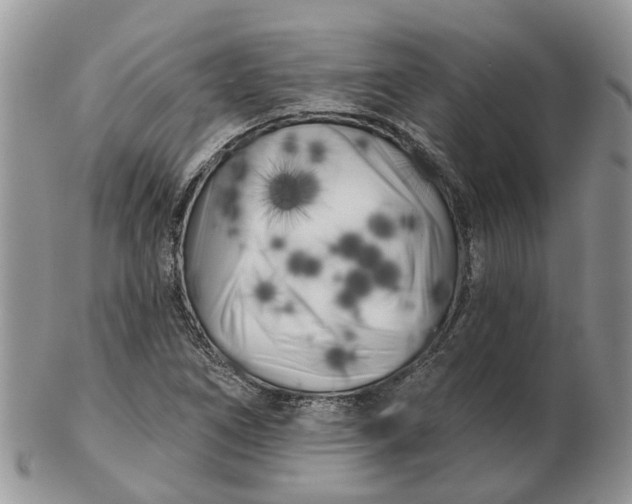 X0000102791266200809021106