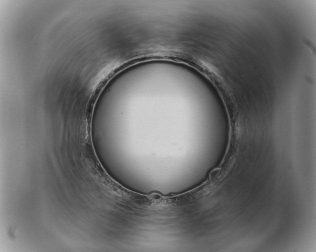 X0000102791267200809021106