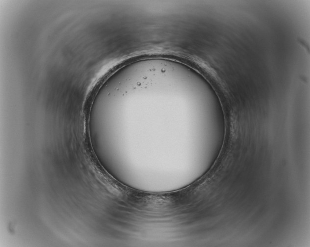 X0000102791270200809021106