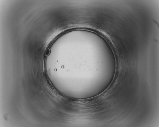 X0000102791271200809021106