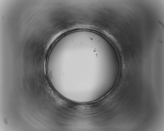 X0000102791272200809021106