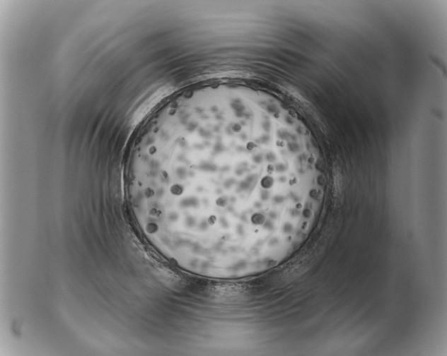 X0000102791274200809021106