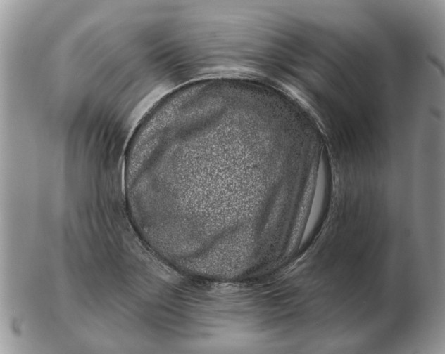 X0000102791275200809021106