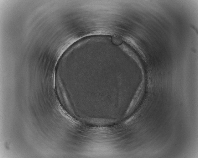 X0000102791276200809021106