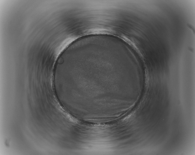 X0000102791277200809021106