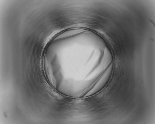 X0000102791278200809021106