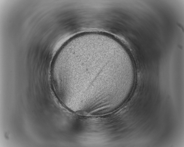 X0000102791279200809021106