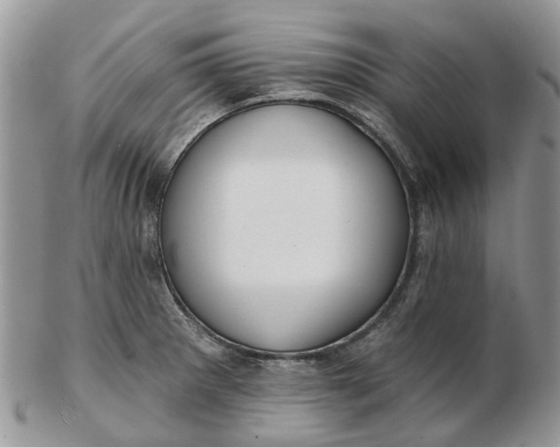 X0000102791281200809021106