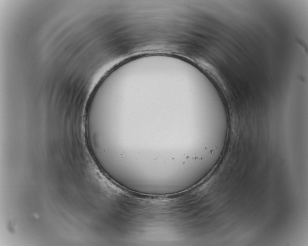 X0000102791288200809021106