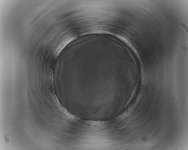 X0000102791289200809021106