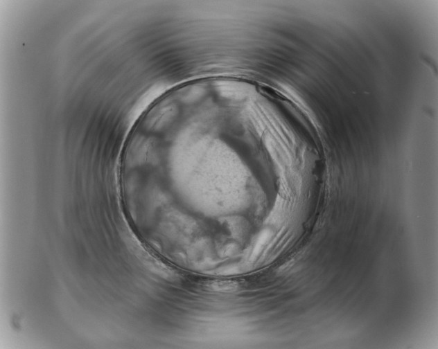 X0000102791291200809021106