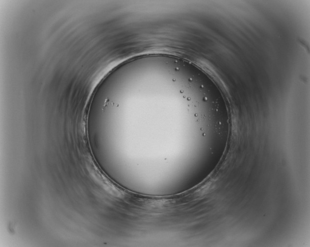 X0000102791292200809021106