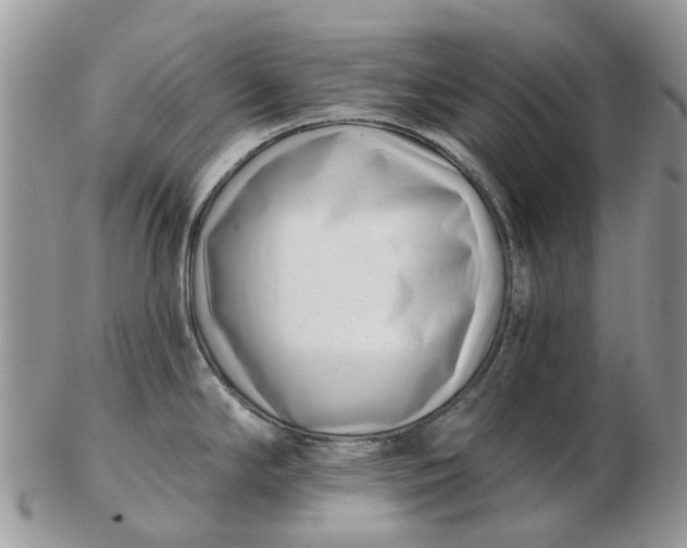 X0000102791294200809021106