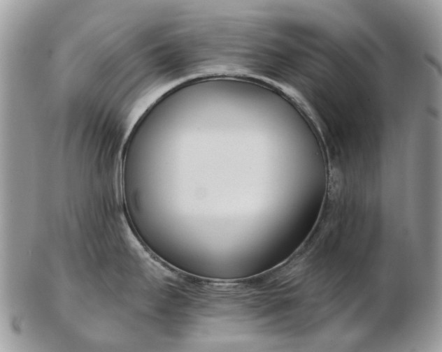 X0000102791295200809021106