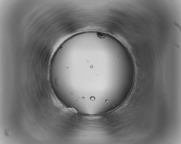 X0000102791296200809021106