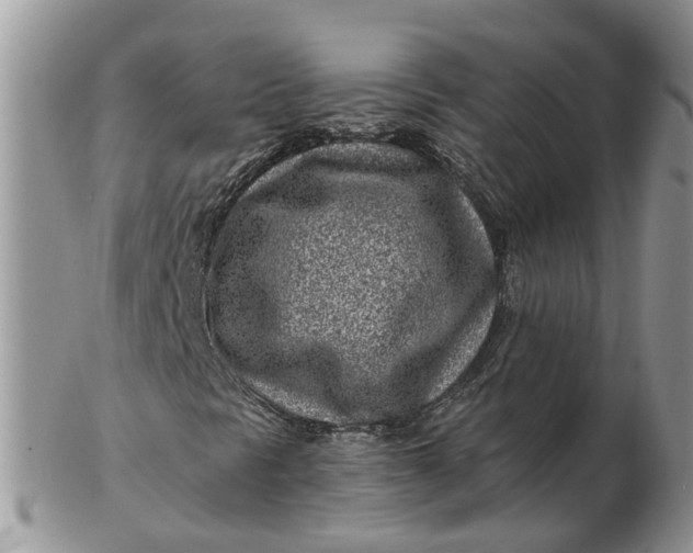 X0000102791297200809021105