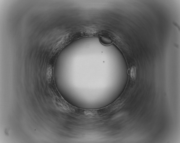 X0000102791299200809021105