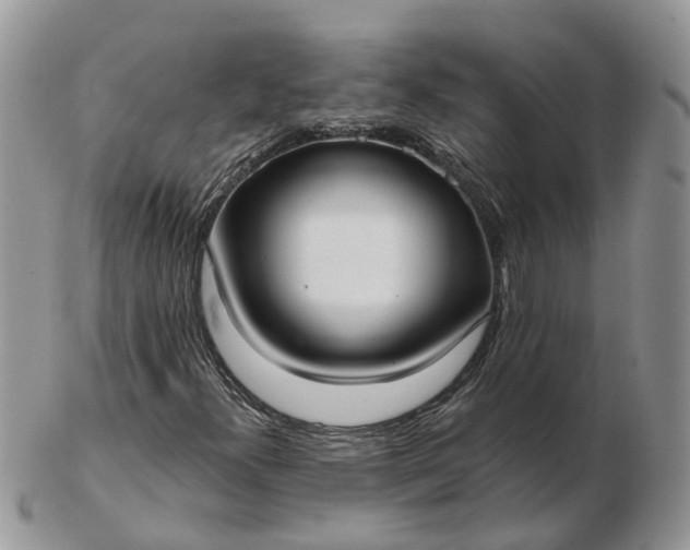 X0000102791300200809021105