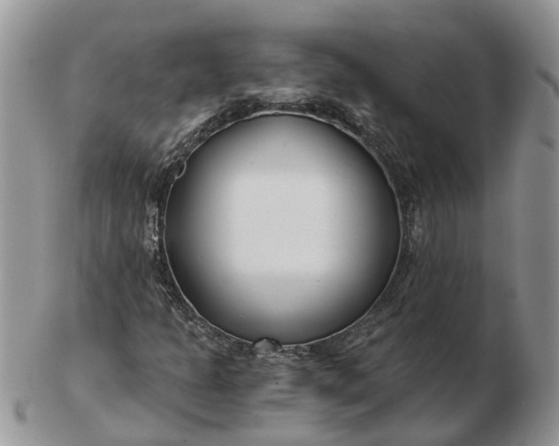 X0000102791301200809021105