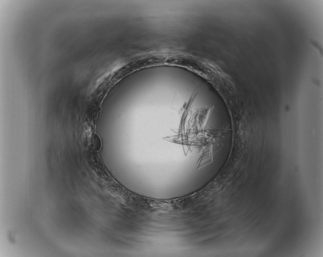 X0000102791302200809021105