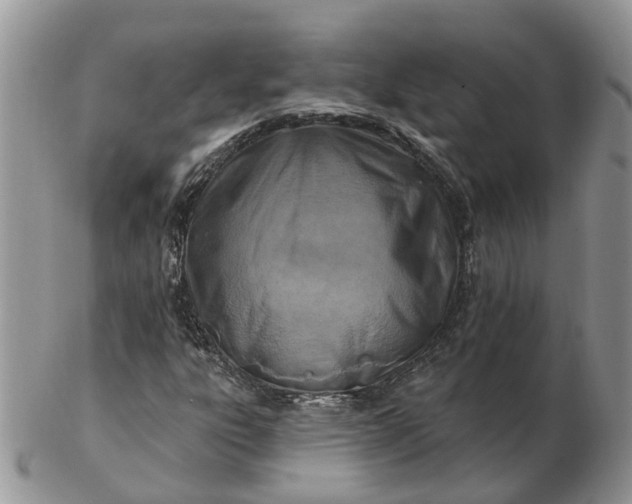 X0000102791303200809021105