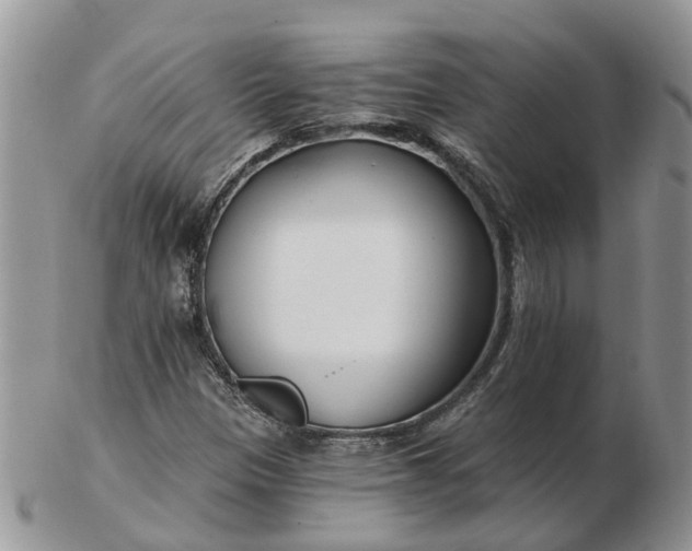 X0000102791305200809021105