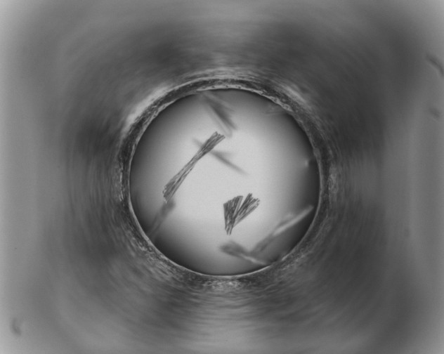 X0000102791310200809021105