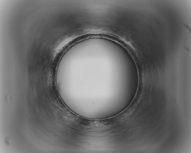 X0000102791311200809021105