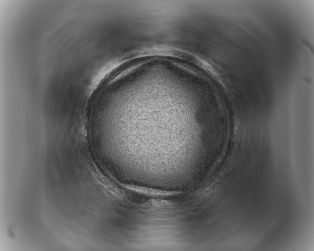 X0000102791312200809021105