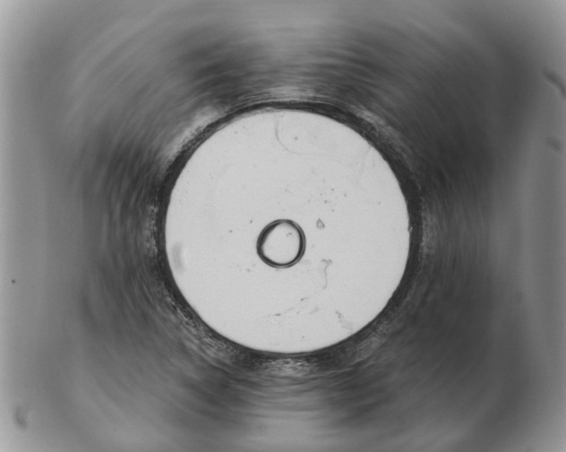 X0000102791314200809021105