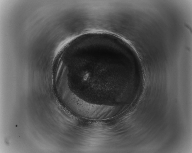 X0000102791319200809021105