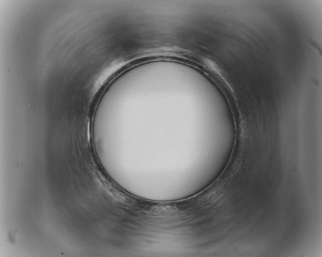 X0000102791320200809021105