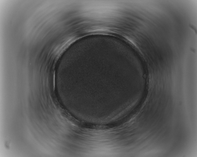 X0000102791323200809021106